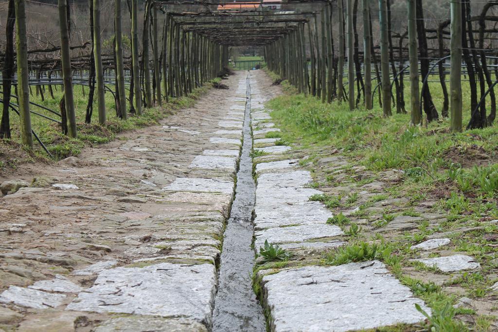 Vila Quinta Da Eira Do Sol Guimarães Exteriér fotografie
