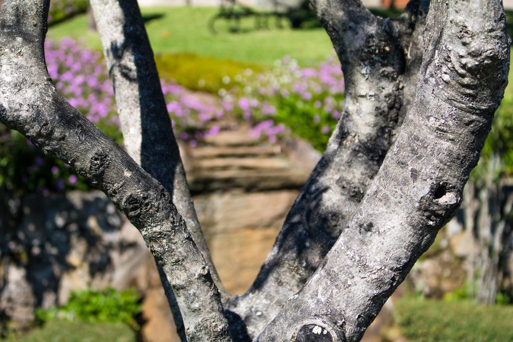 Vila Quinta Da Eira Do Sol Guimarães Exteriér fotografie